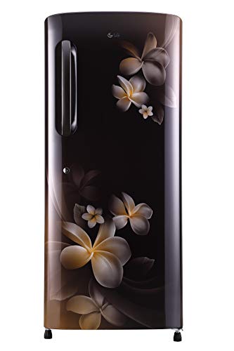 LG 235 L 4 Star Inverter Direct-Cool Single-Door Refrigerator (GL-B241AHPX, Hazel Plumeria) - RAJA DIGITAL PLANET