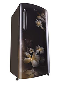 LG 235 L 4 Star Inverter Direct-Cool Single-Door Refrigerator (GL-B241AHPX, Hazel Plumeria) - RAJA DIGITAL PLANET