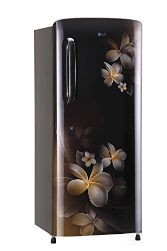 LG 235 L 4 Star Inverter Direct-Cool Single-Door Refrigerator (GL-B241AHPX, Hazel Plumeria) - RAJA DIGITAL PLANET