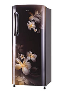 LG 235 L 4 Star Inverter Direct-Cool Single-Door Refrigerator (GL-B241AHPX, Hazel Plumeria) - RAJA DIGITAL PLANET