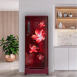 Whirlpool 200 L 3 Star Single Door Refrigerator - 215 IMPC Roy 3S Wine Flower Rain (71999) - RAJA DIGITAL PLANET