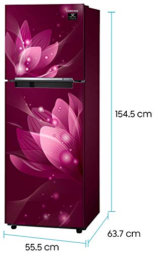 Samsung 253 L 2 Star Inverter Frost-Free Double Door Refrigerator (RT28T3032R8/HL, Saffron Red) - RAJA DIGITAL PLANET