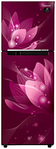 Samsung 253 L 2 Star Inverter Frost-Free Double Door Refrigerator (RT28T3032R8/HL, Saffron Red) - RAJA DIGITAL PLANET