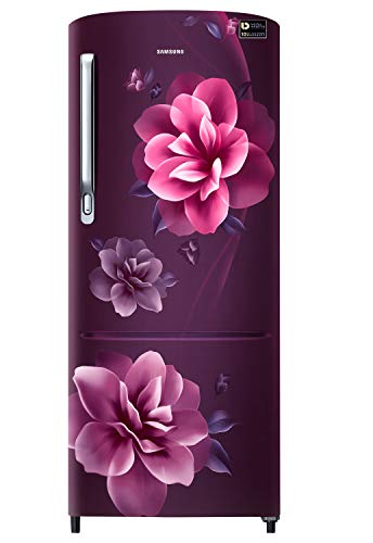 Samsung 230 L 3 Star Inverter Direct Cool Single Door Refrigerator (RR24A272YCR/NL, Camellia Purple)